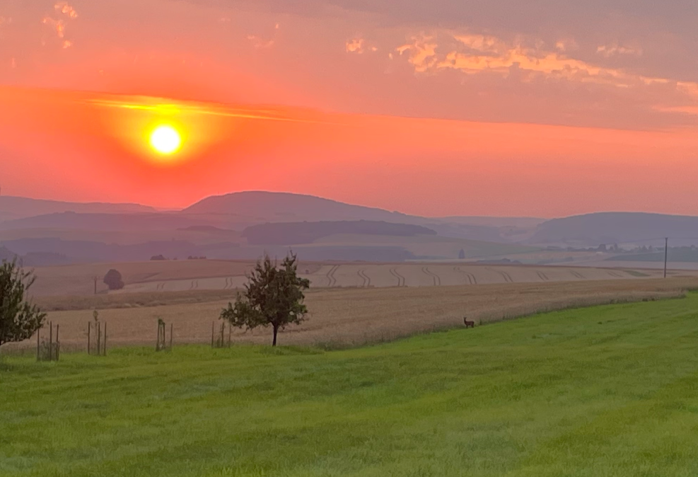 jens_koeln's profile header